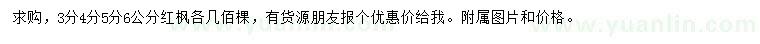 求購3、4、5、6公分紅楓
