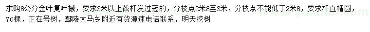求購8公分金葉復(fù)葉槭