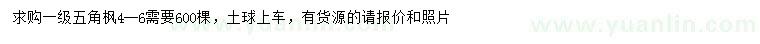 求購4-6公分五角楓