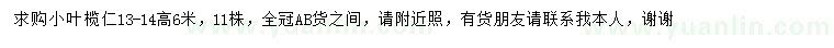 求購13-14公分小葉欖仁