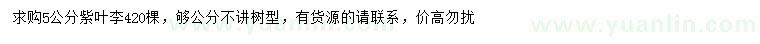 求購5公分紫葉李