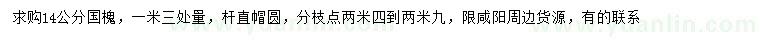 求購(gòu)1.3米量14公分國(guó)槐