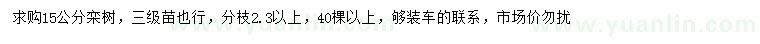 求購15公分欒樹