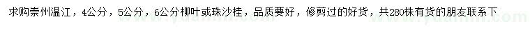 求購4、5、6公分柳葉桂、朱砂桂