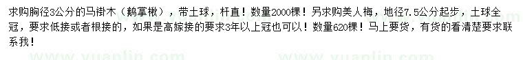 求購(gòu)胸徑3公分馬褂木、地徑7.5公分以上美人梅
