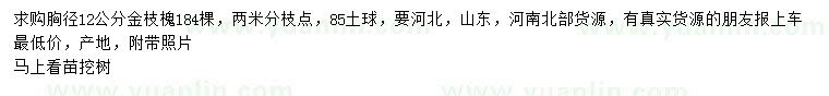 求購(gòu)胸徑12公分金枝槐