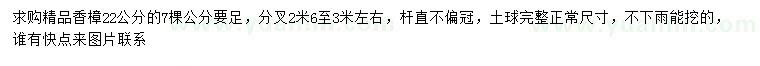求購22公分香樟