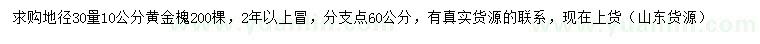 求購(gòu)30量10公分黃金槐