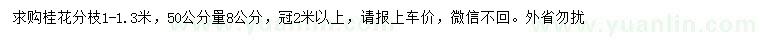 求購50量8公分桂花