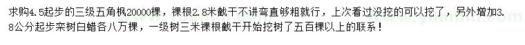 求購五角楓、欒樹、白蠟