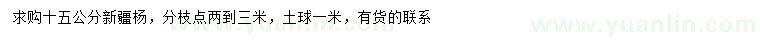 求購15公分新疆楊