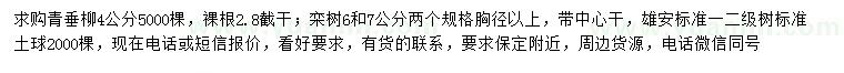 求購4公分青垂柳、6、7公分欒樹