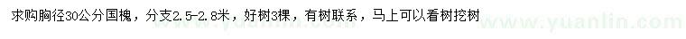 求購胸徑30公分國槐
