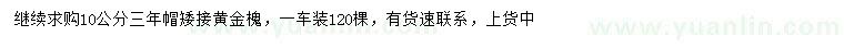求購10公分黃金槐