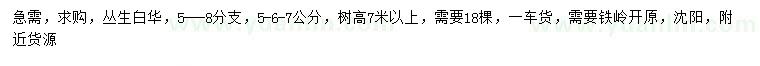 求購5-6-7公分叢生白樺