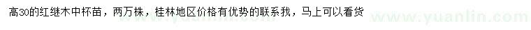 求購高30公分紅花繼木