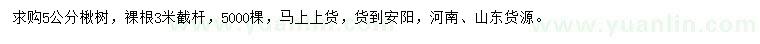 求購(gòu)5公分楸樹