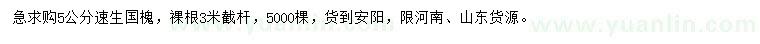 求購5公分速生國槐