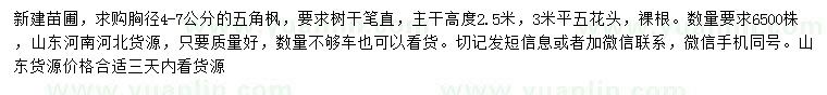 求購4-7公分五角楓