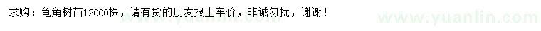 求購龜角樹苗