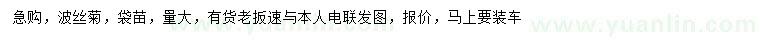 求購(gòu)波絲菊