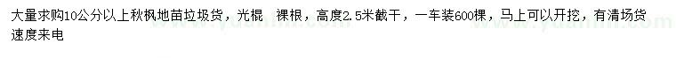 求購10公分以上秋楓地苗