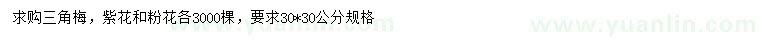 求購30*30公分三角梅