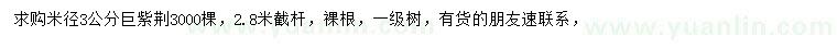 求購米徑3公分巨紫荊