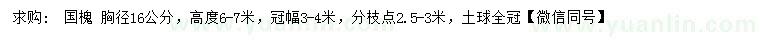 求購胸徑16公分國槐