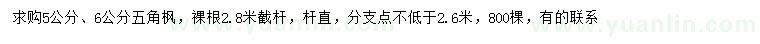 求購5、6公分五角楓