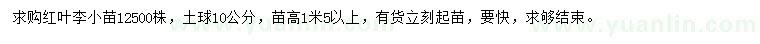 求購高1.5米以上紅葉李小苗