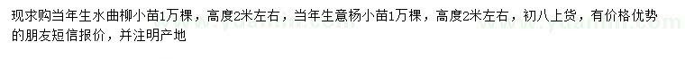 求購(gòu)高2米左右水曲柳、意楊小苗