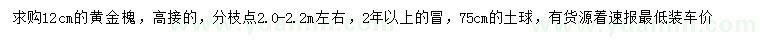 求購12公分黃金槐
