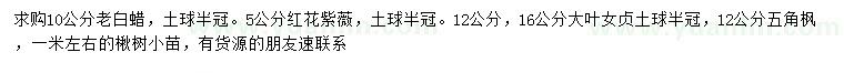 求購老白蠟、紅花紫薇、大葉女貞等