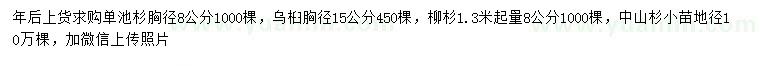 求購池杉、烏桕、柳杉等