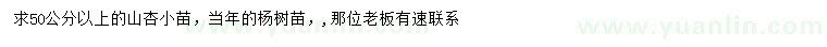 求購50公分以上山杏小苗