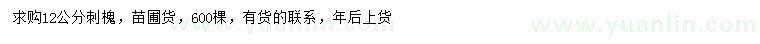 求購(gòu)12公分刺槐