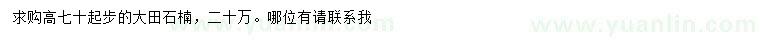 求購(gòu)高70公分起步大田石楠