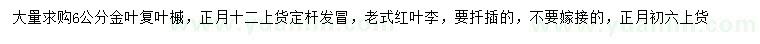 求購6公分金葉復葉槭、老式紅葉李
