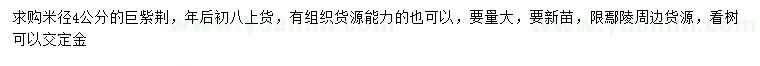 求購米徑4公分巨紫荊