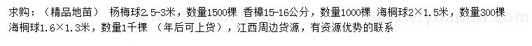 求購楊梅球、香樟、海桐球