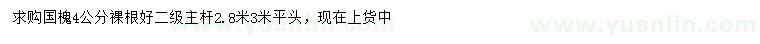 求購4公分國槐