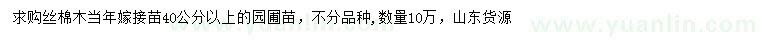 求購(gòu)40公分以上絲棉木