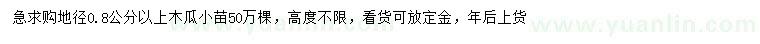 求購地徑0.8公分以上木瓜小苗