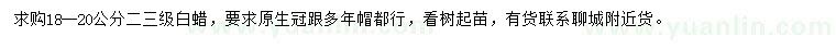 求購18-20公分白蠟
