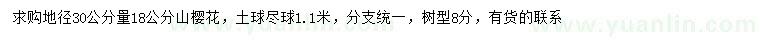 求購30量18公分山櫻花