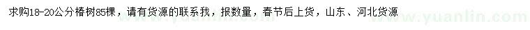 求購18-20公分椿樹