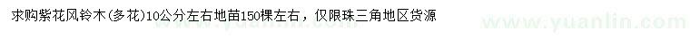 求購10公分左右紫花風(fēng)鈴木