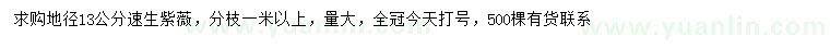 求購地徑13公分速生紫薇