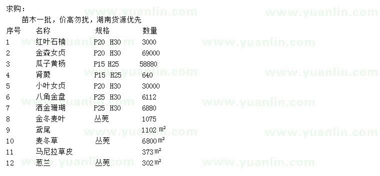 求購紅葉石楠、金森女貞、瓜子黃楊等